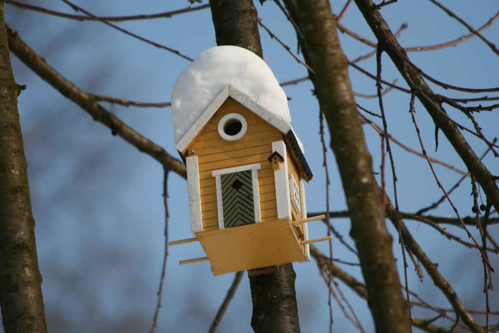 B&B La Casa Di Campagna Bergamo Zewnętrze zdjęcie