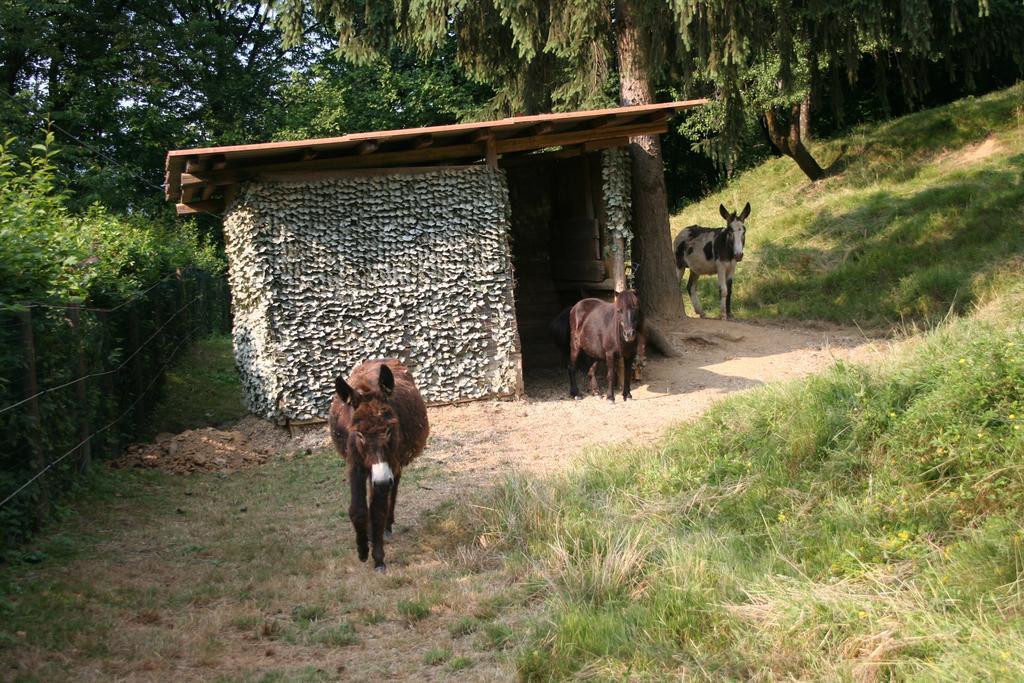 B&B La Casa Di Campagna Bergamo Zewnętrze zdjęcie