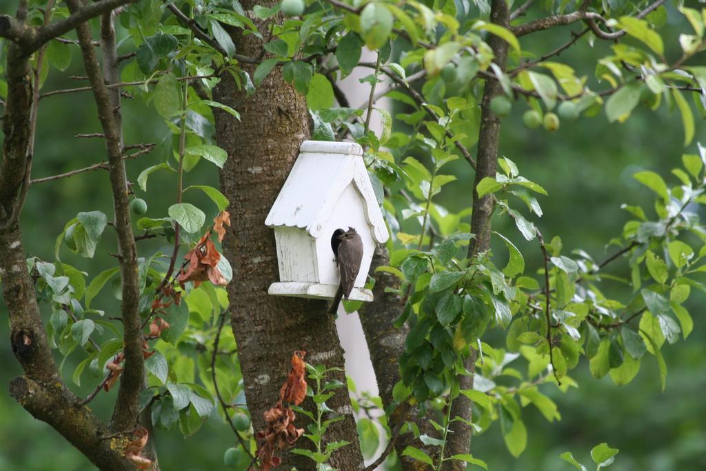 B&B La Casa Di Campagna Bergamo Zewnętrze zdjęcie