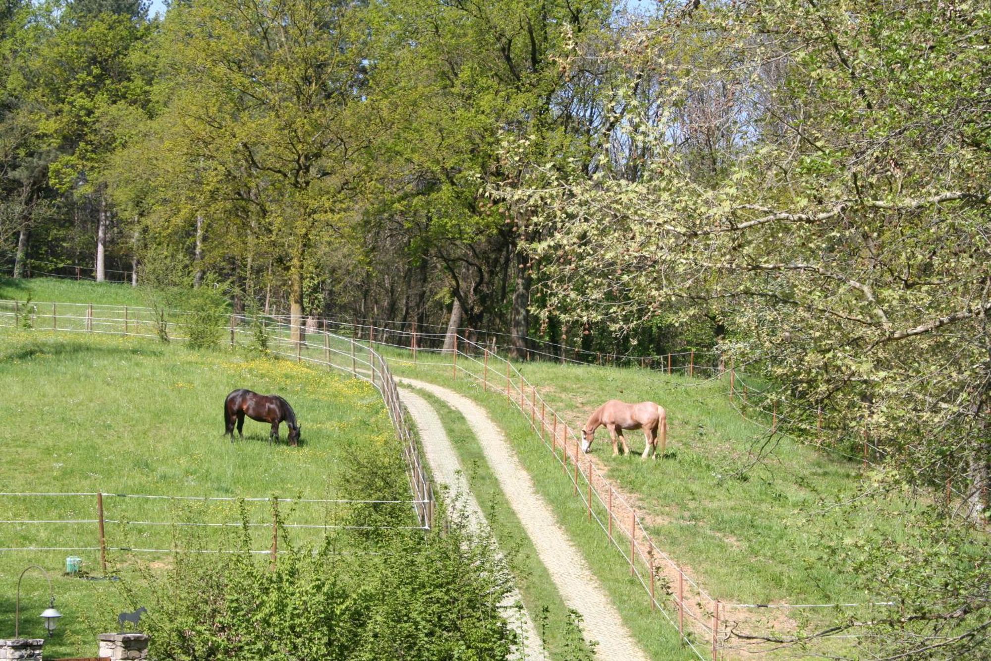B&B La Casa Di Campagna Bergamo Zewnętrze zdjęcie