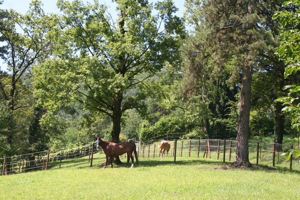 B&B La Casa Di Campagna Bergamo Zewnętrze zdjęcie