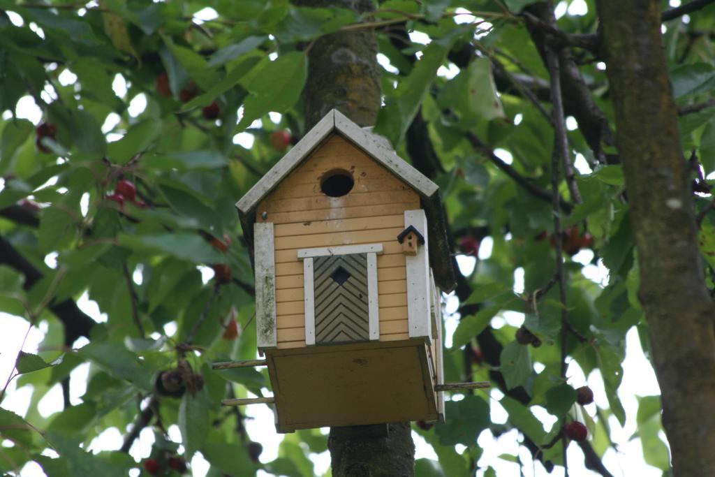 B&B La Casa Di Campagna Bergamo Zewnętrze zdjęcie