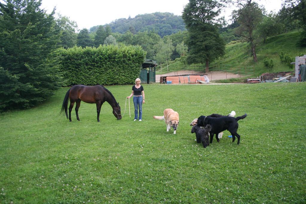 B&B La Casa Di Campagna Bergamo Zewnętrze zdjęcie