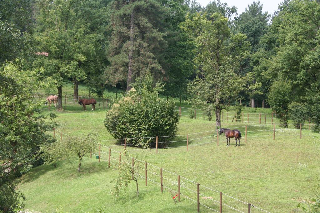 B&B La Casa Di Campagna Bergamo Zewnętrze zdjęcie